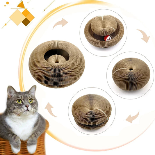 Cat Toy Scratcher. - Maison Novaire