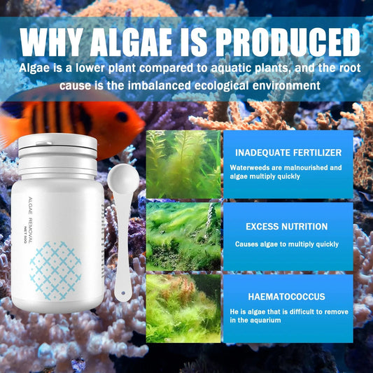 Fish Tank Cleaning Algae Tablets. - Maison Novaire