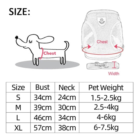 Harness for Small Dogs & Cats. - Maison Novaire