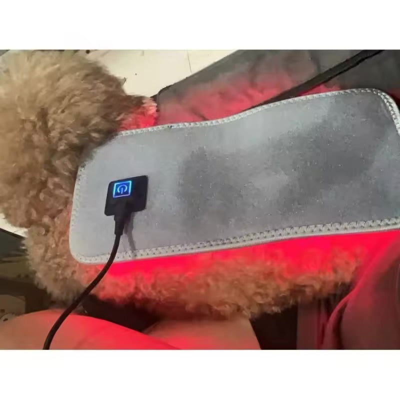 Pet Care Infrared Red Light Therapy Belt Wrap