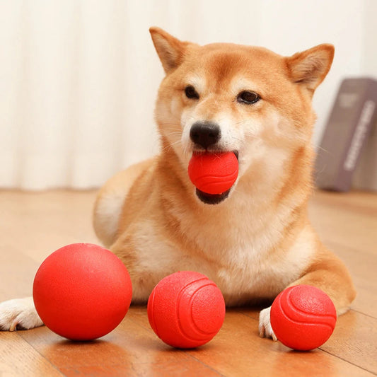 Indestructible Chew Proof Rubber Ball. - Maison Novaire