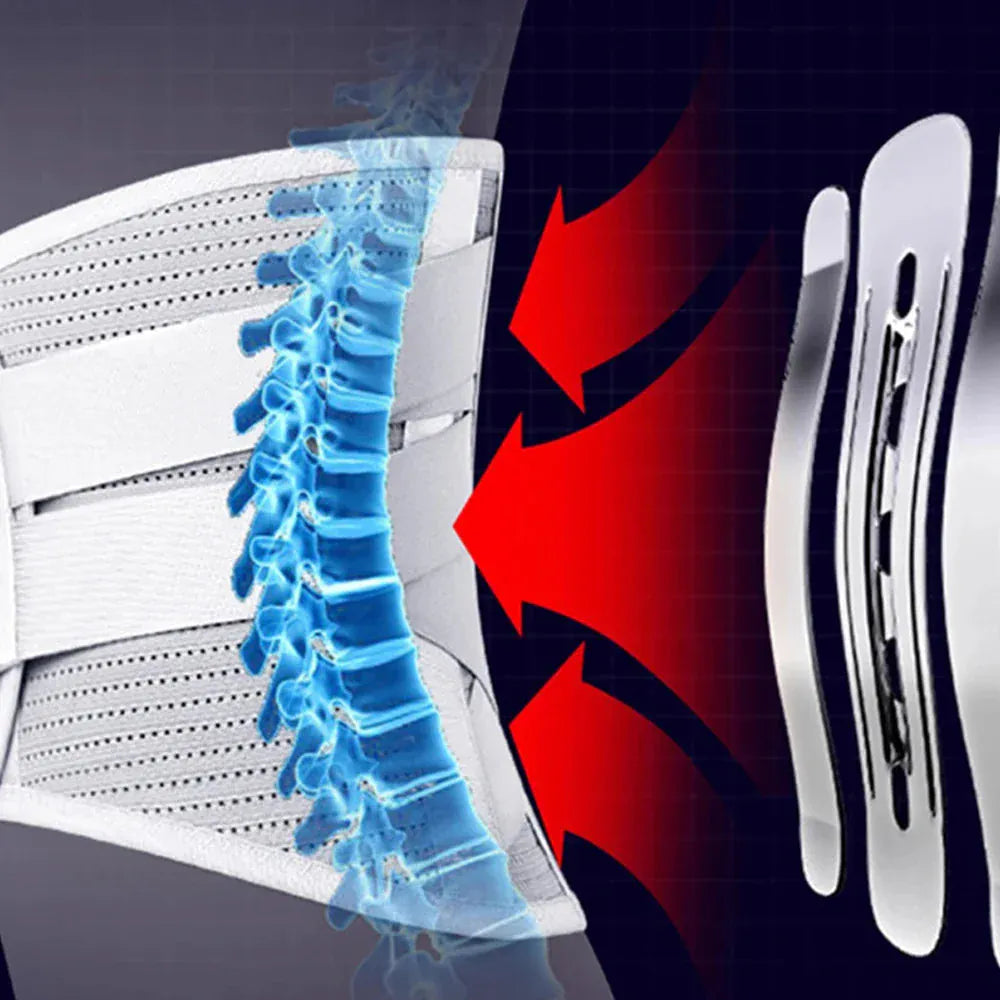 Lumbar Support Belt for Sciatica & Herniated Disc - BLAKESTORE-NG
