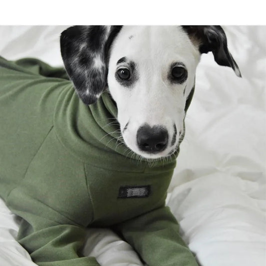 Luxury Winter Whippet Jammies - Maison Novaire