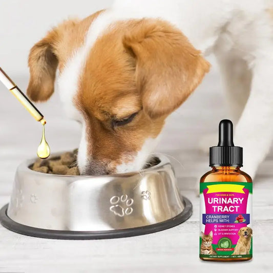 Pet UTI Treatments | Cat Bladder Drops for Urinary Care - Maison Novaire