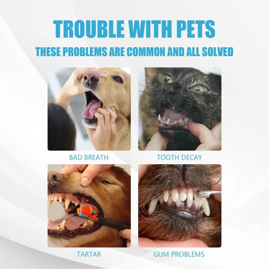 Toothpaste for Dogs & Cats. - Maison Novaire