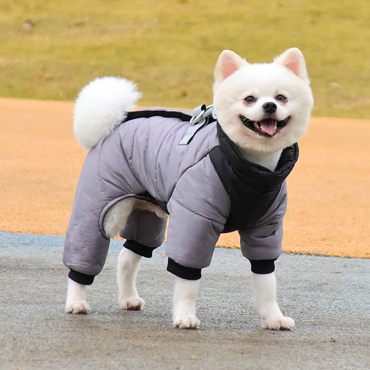 Waterproof Winter Dog Jacket - Maison Novaire