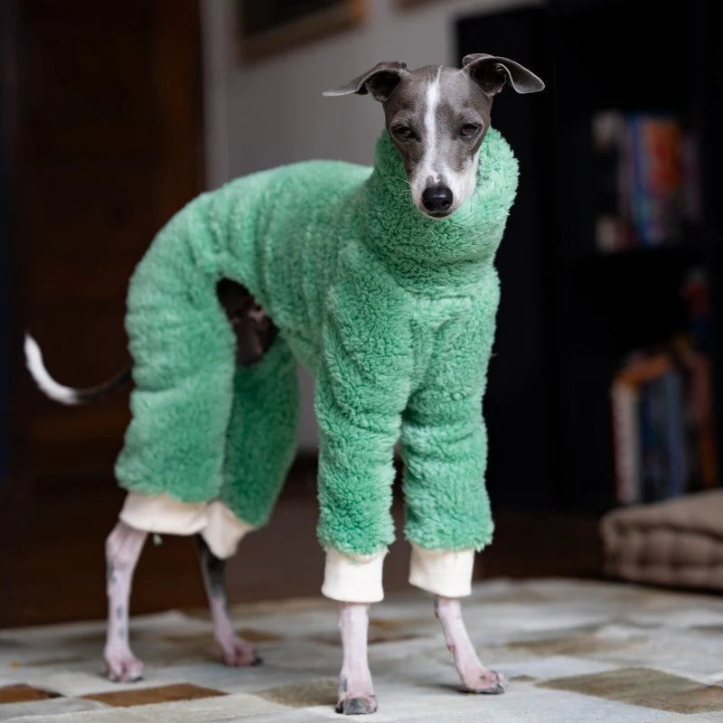 Whippet & Italian Greyhound Fleece Turtleneck Jacket – Warm Winter Dog Jumper - Maison Novaire #