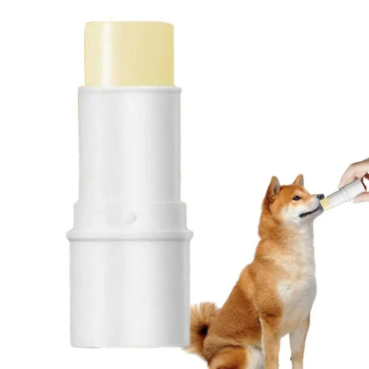 6g Dog Nose & Paw Balm – Paw Protector Cream for Dogs & Cats - Maison Novaire #