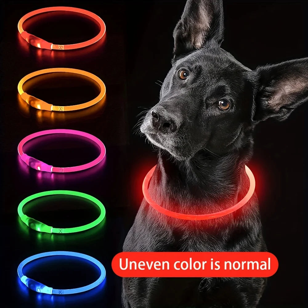 Anti-Lost LED light Dog Collar. - Maison Novaire #