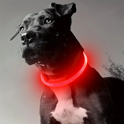 Anti-Lost LED light Dog Collar. - Maison Novaire #