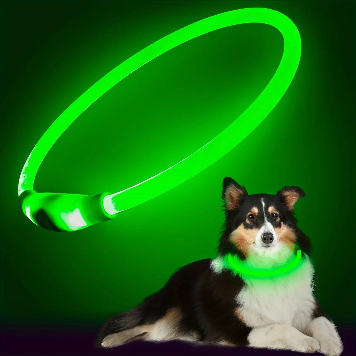 Anti-Lost LED light Dog Collar. - Maison Novaire #