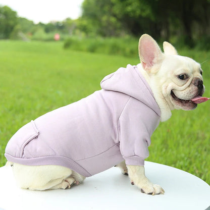 Autumn And Winter Dog Clothing. - Maison Novaire #
