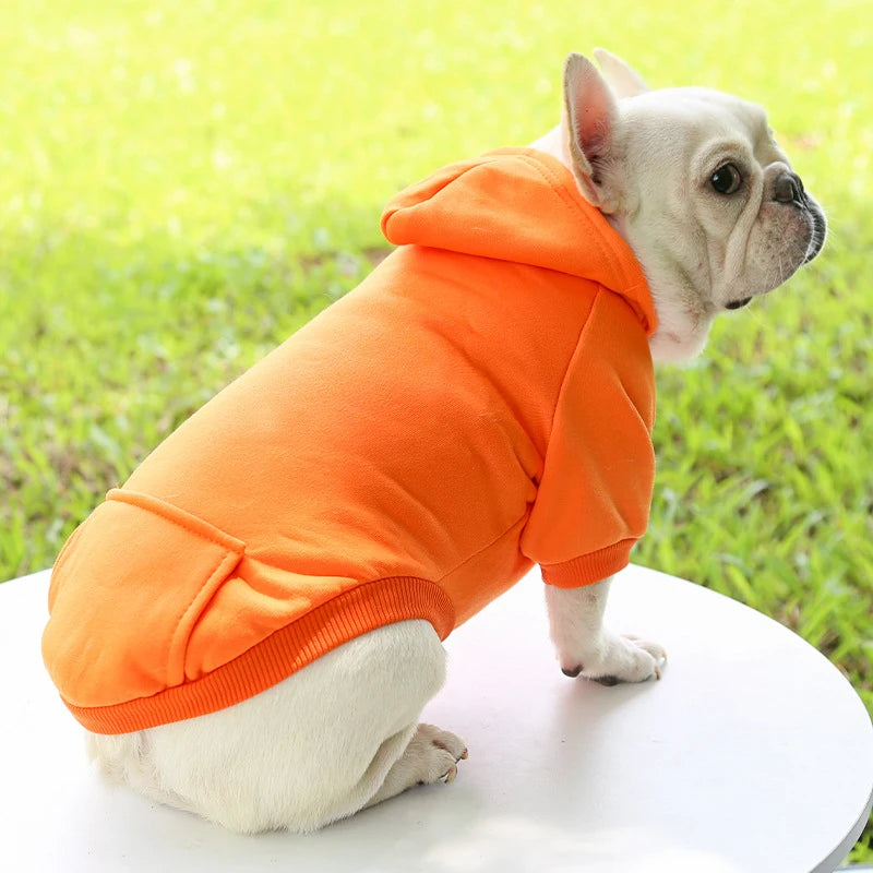 Autumn And Winter Dog Clothing. - Maison Novaire #