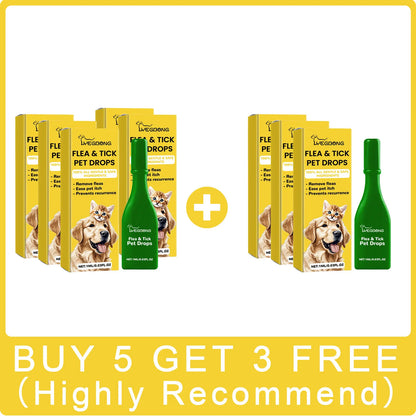 Cat Anti-Flea Drops – Flea, Tick & Lice Treatment - Maison Novaire #