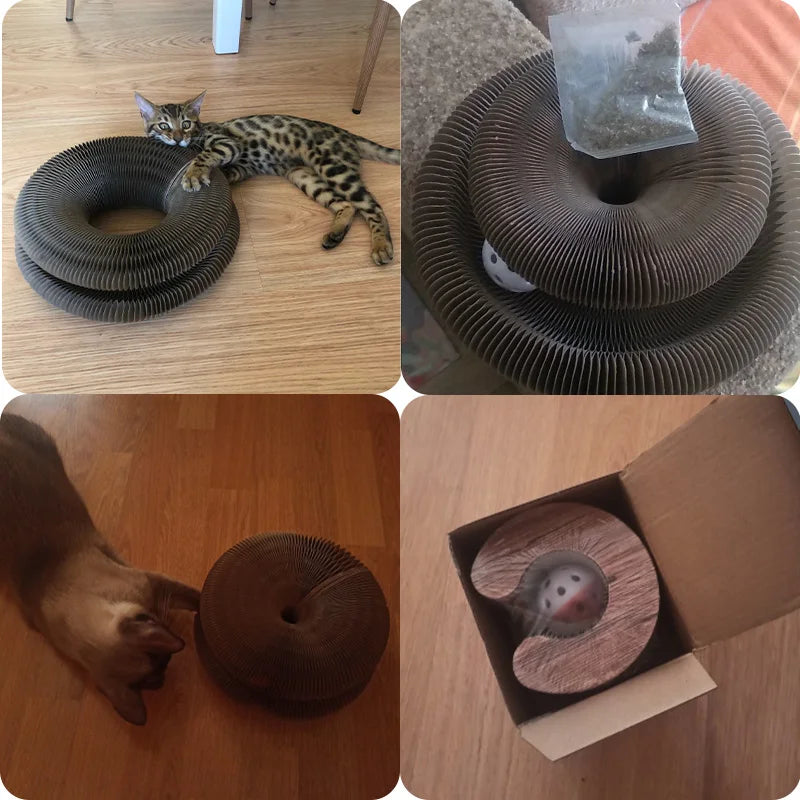 Cat Toy Scratcher. - Maison Novaire #