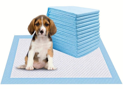Disposable Dog & Cat Diaper. - Maison Novaire #