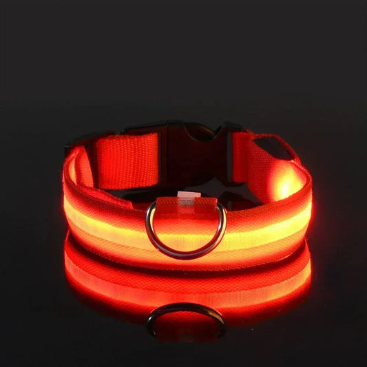 Dog LED Glow In The Dark collar. - Maison Novaire