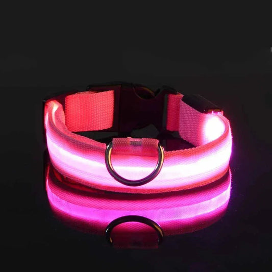 Dog LED Glow In The Dark collar. - Maison Novaire