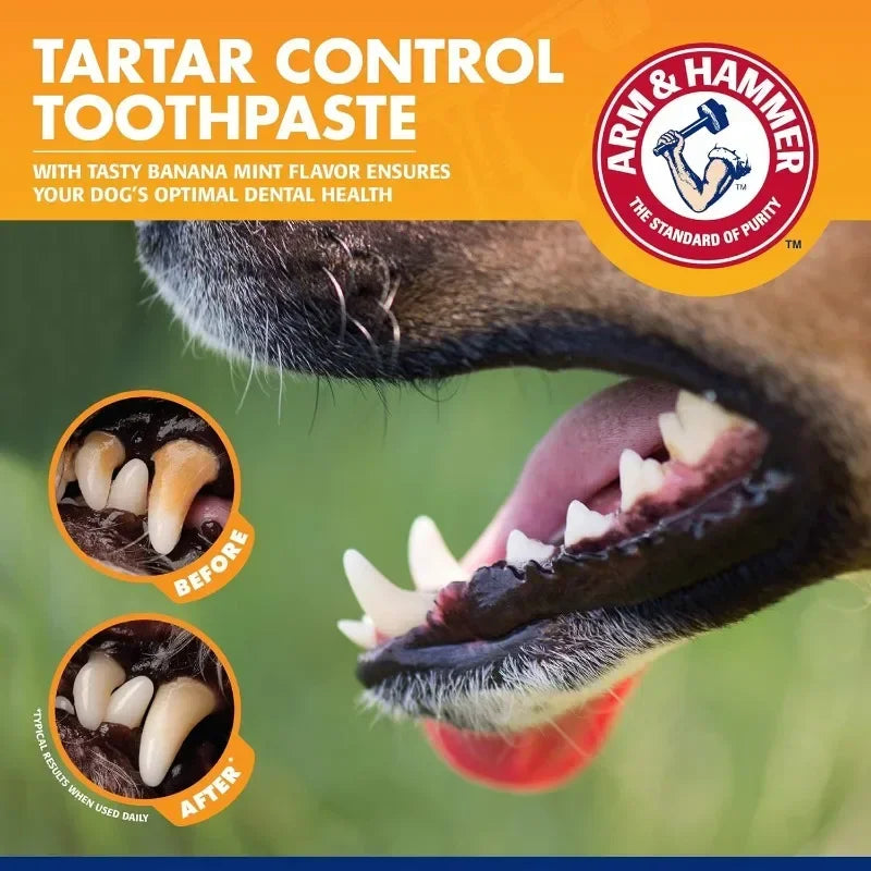 Dog Toothpaste -Reduces Plaque & Tartar Buildup. - Maison Novaire #