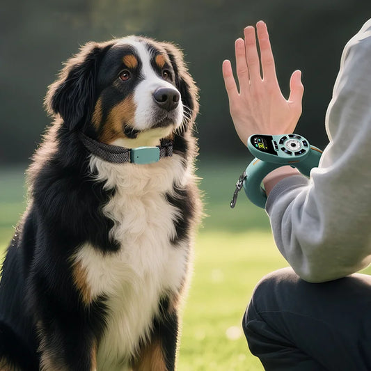 Dog Training Collar Set - Maison Novaire #