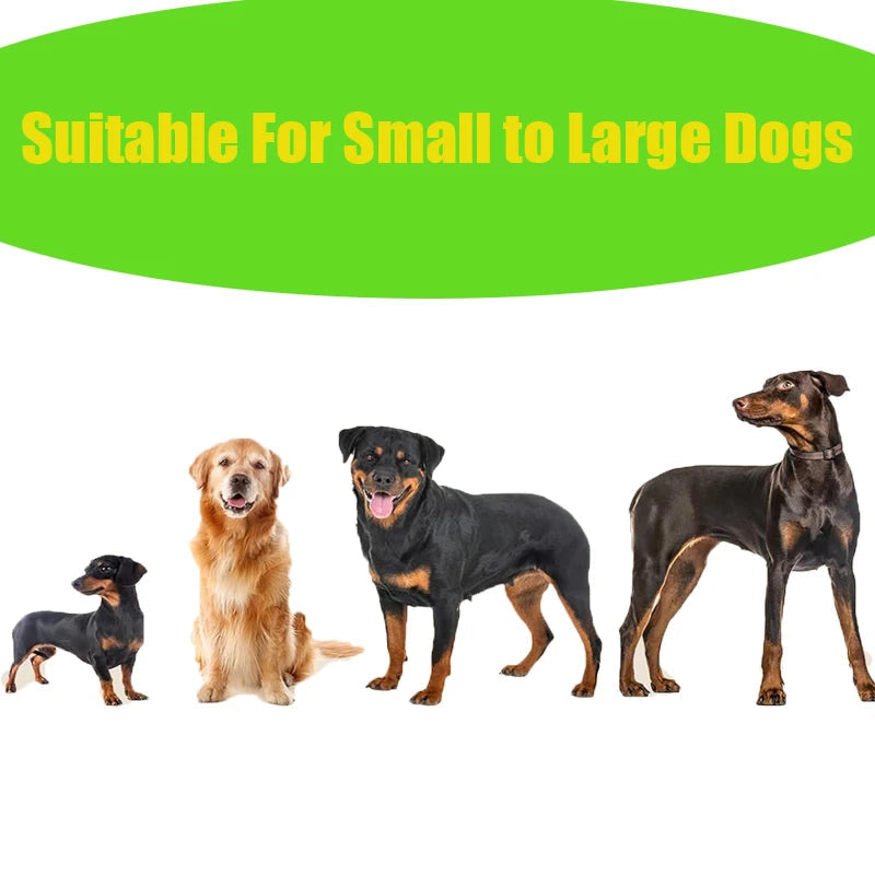 EPI Biodegradable Dog Poop Bags Lavender Scented. - Maison Novaire #