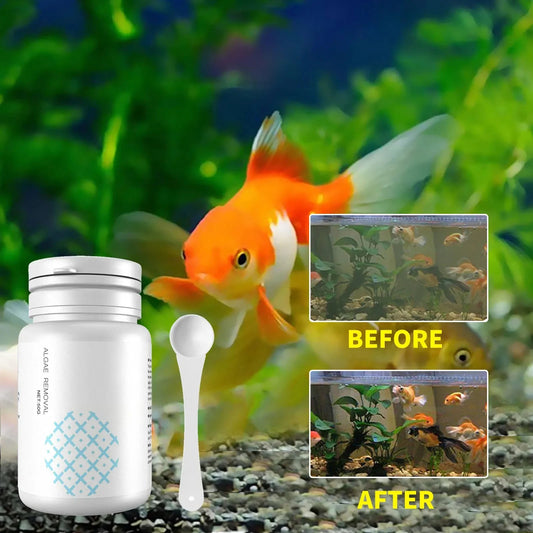 Fish Tank Cleaning Algae Tablets. - Maison Novaire
