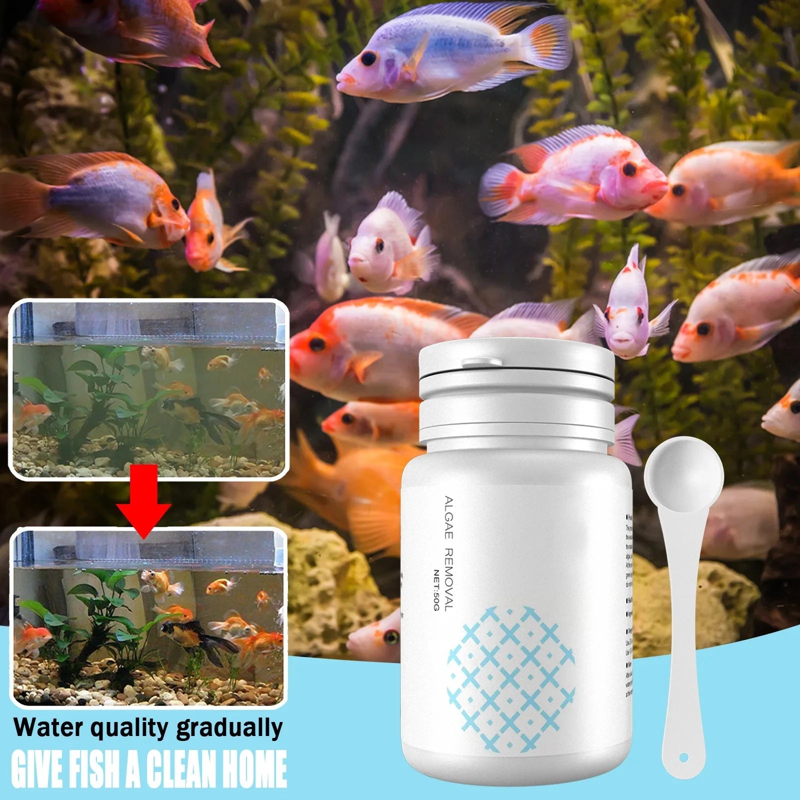 Fish Tank Cleaning Algae Tablets. - Maison Novaire #