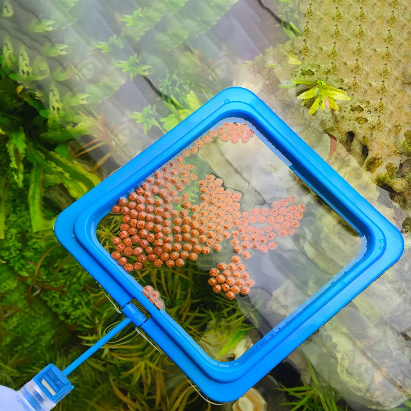 Floating Fish Food Feeder Ring. - Maison Novaire #