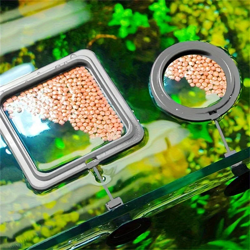 Floating Fish Food Feeder Ring. - Maison Novaire #