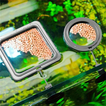 Floating Fish Food Feeder Ring. - Maison Novaire #