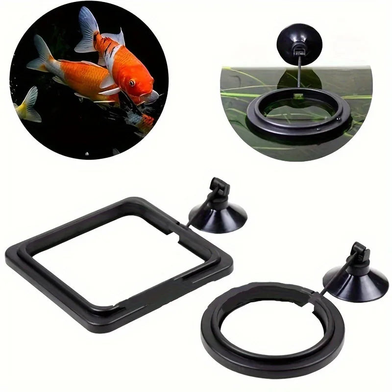 Floating Fish Food Feeder Ring. - Maison Novaire #
