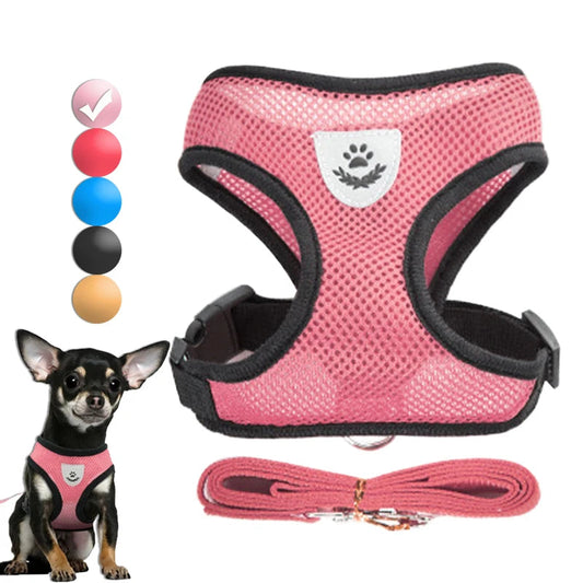 Harness for Small Dogs & Cats. - Maison Novaire