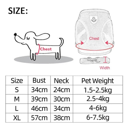 Harness for Small Dogs & Cats. - Maison Novaire #