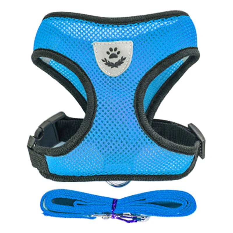 Harness for Small Dogs & Cats. - Maison Novaire #