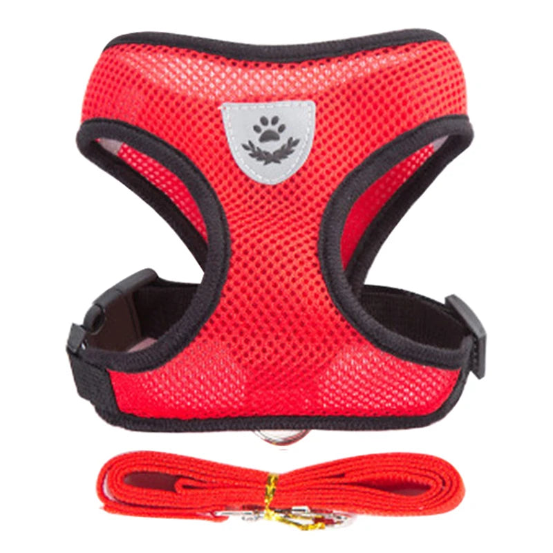 Harness for Small Dogs & Cats. - Maison Novaire #