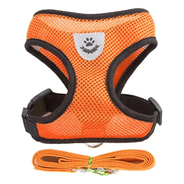 Harness for Small Dogs & Cats. - Maison Novaire #