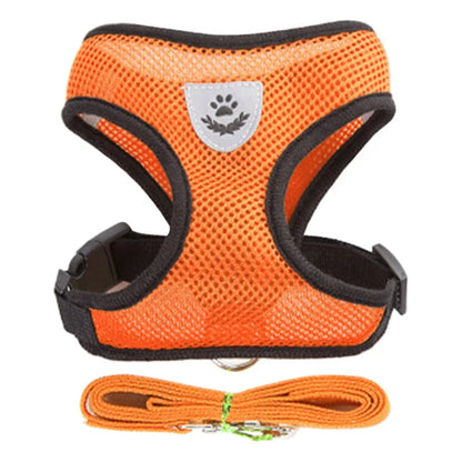 Harness for Small Dogs & Cats. - Maison Novaire #