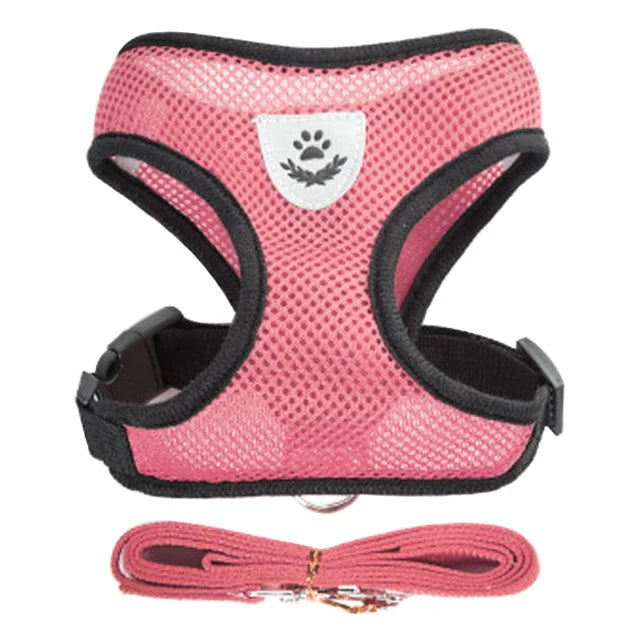 Harness for Small Dogs & Cats. - Maison Novaire #