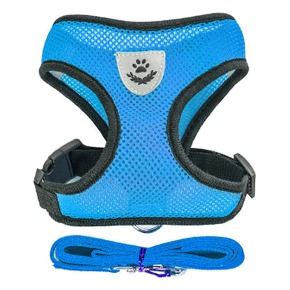 Harness for Small Dogs & Cats. - Maison Novaire #