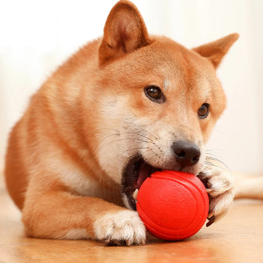 Indestructible Chew Proof Rubber Ball. - Maison Novaire