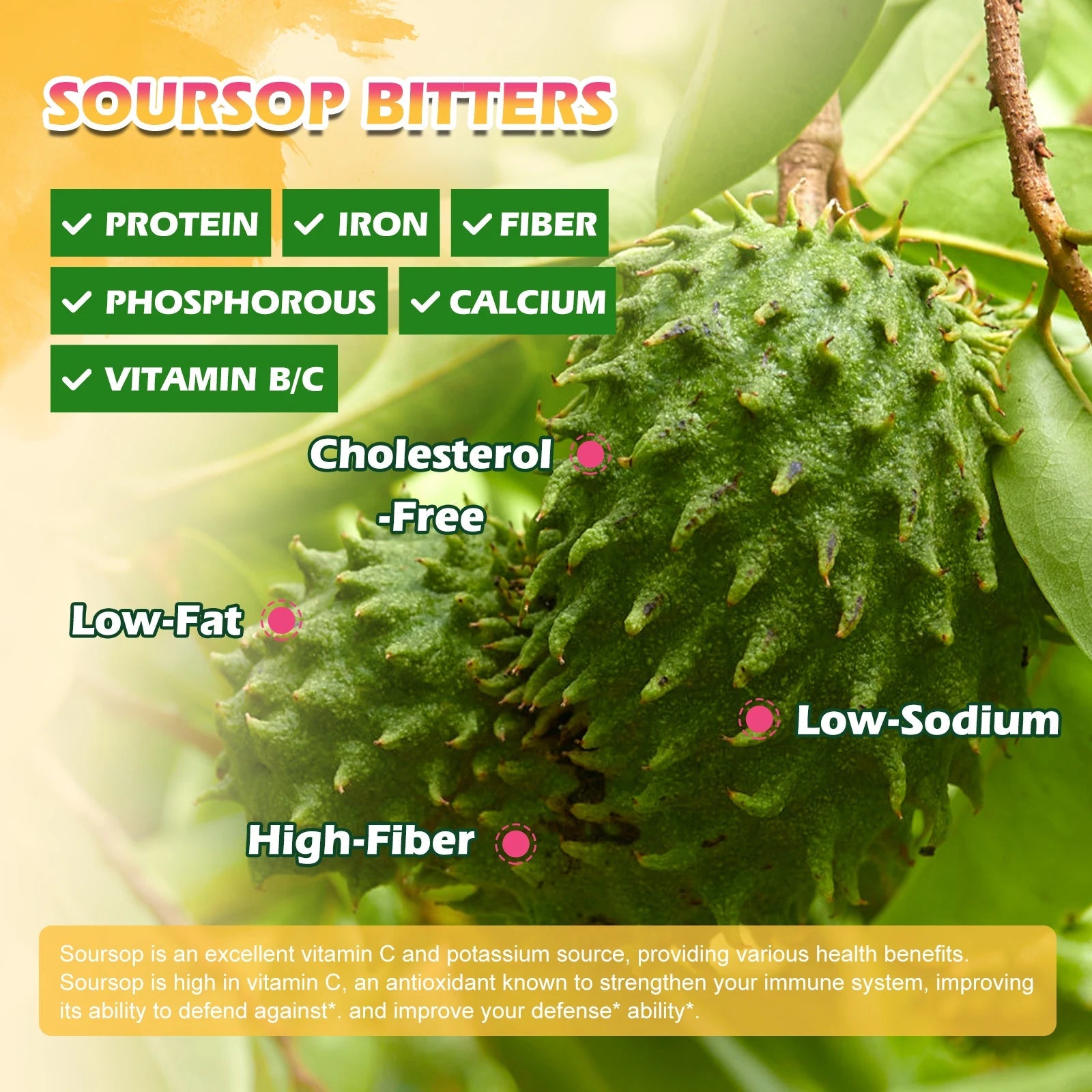 Kidney Detox-Soursop Graviola Extract Drops. Gluten-Free. - BLAKESTORE-NG
