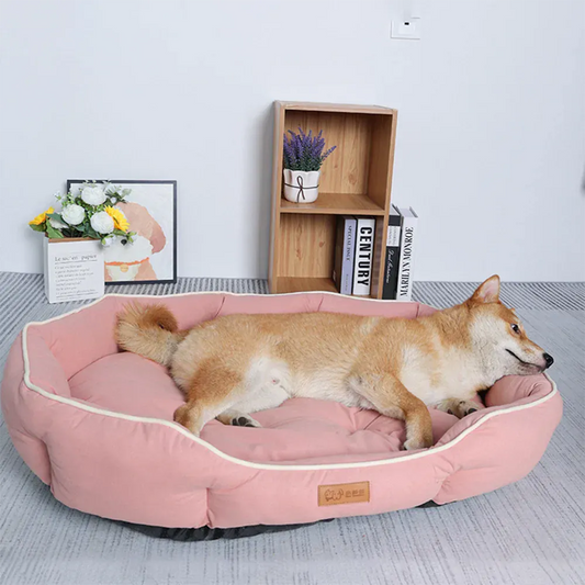 Large Bed House for Cats -Dogs - Maison Novaire