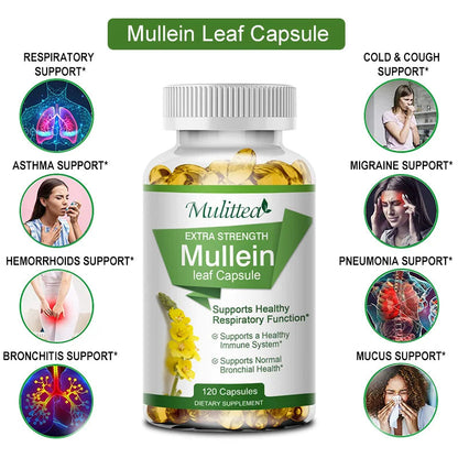 Mullein Lung Cleanser-Asthma Health-Herbal Supplement. - Maison Novaire #