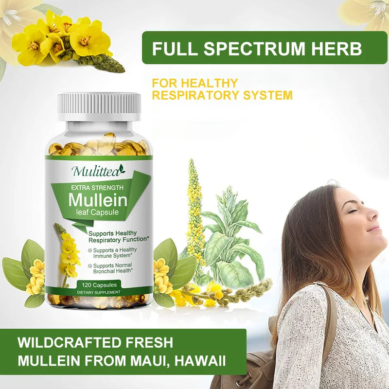 Mullein Lung Cleanser-Asthma Health-Herbal Supplement. - Maison Novaire #