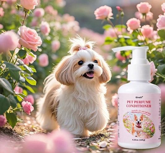 Oatmeal Aloe Pet Conditioner | Softens, Detangles, and Adds Shine - Maison Novaire