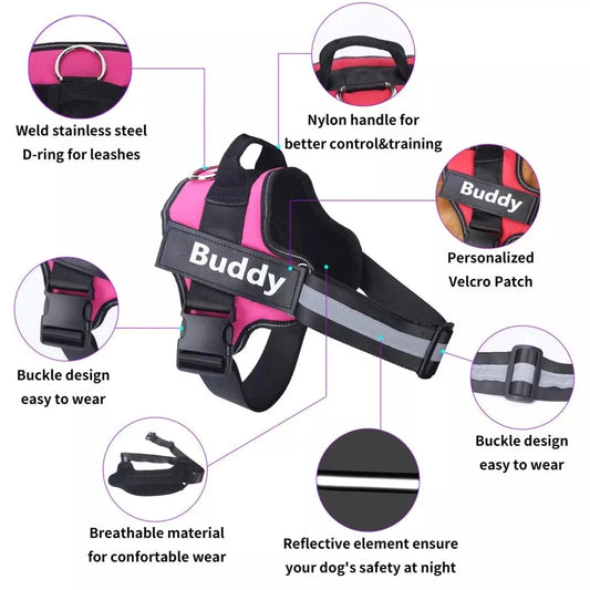 Personalized Dog Harness. - Maison Novaire