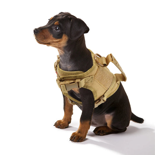 Puppy Harness Leash For Small Dogs & Cats. - Maison Novaire