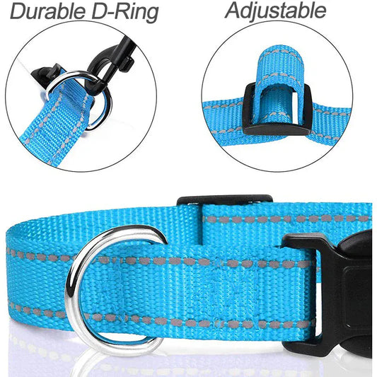 Puppy Neck Collars. - Maison Novaire