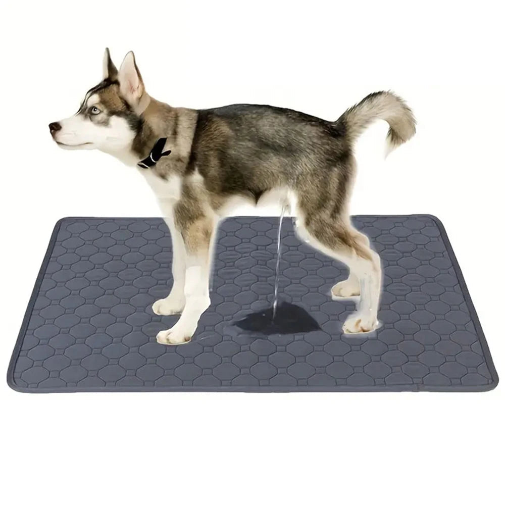 Reusable Dog Pee Pad. - Maison Novaire #