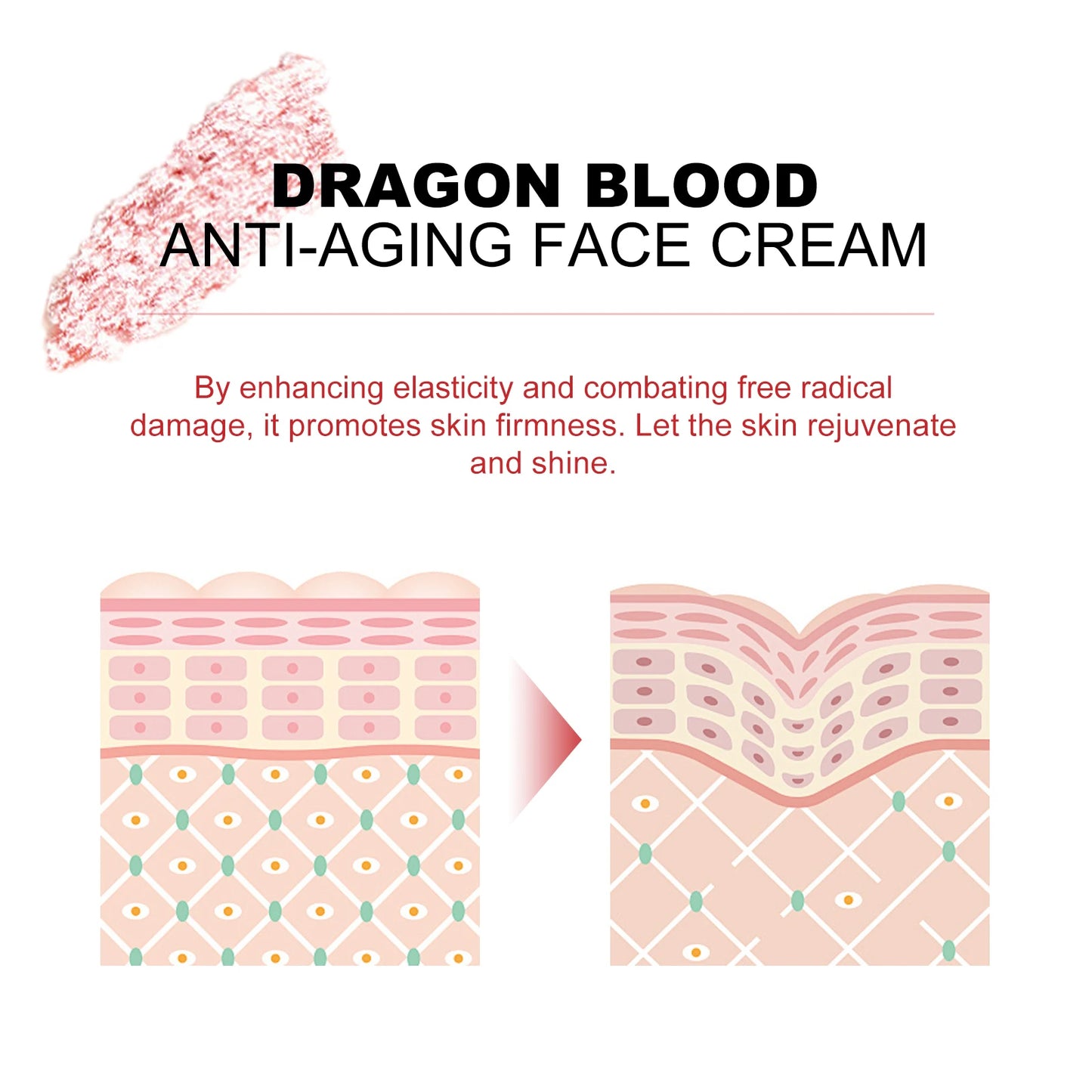 Dragon Blood Face Rejuvenation Moisturizing Serum. Hyaluronic Acid  Serum. Smooth Nourishing Beauty Healthy Skin Care Series.